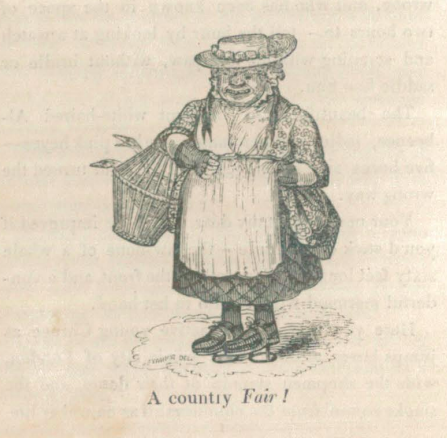 A sample page from A Country Fair or Old Aunt Letty's Fancies by Louisa H. Sheridan