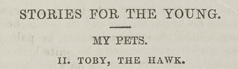 A sample page from My Pets, II, Toby, the Hawk by Anonymous