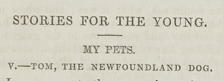 A sample page from My Pets, V, Tom, the Newfoundland Dog by Anonymous